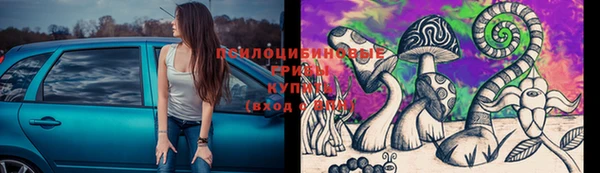 стаф Белоозёрский