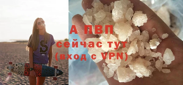 стаф Белоозёрский