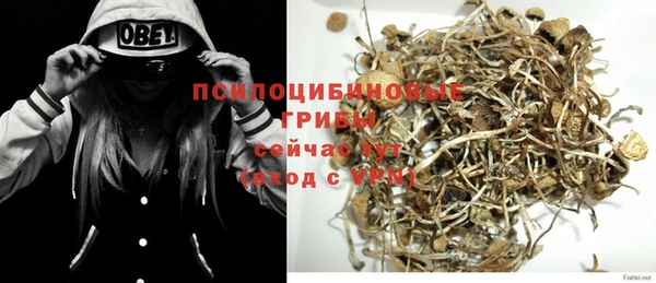 mdpv Белокуриха